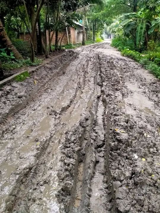 গোয়াতলা শসার বাজার-কালাইজানি সড়কের বেহাল দশা, চরম দুর্ভোগে এলাকাবাসী