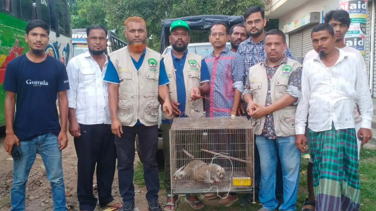 ময়মনসিংহে হালুয়াঘাটে পাচারের সময় উদ্ধার হলো দুটি লজ্জাবতী বানর